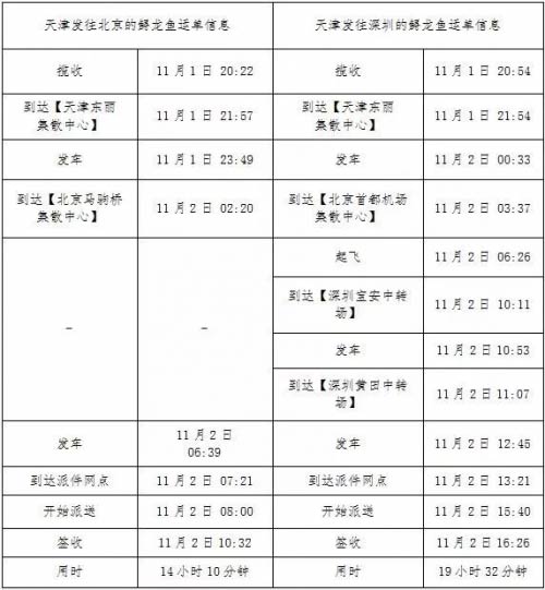 HyFڻ~SfˣT
